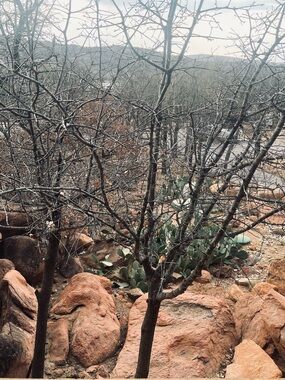 Meet your Posher, Selena